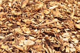Woodchips Spruce | Firewood, briquettes | SCOPULUS Handels-und Dienstleistungs GmbH