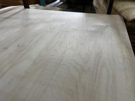Plywood Waterproof | Sheet goods / Panels | Forestree
