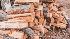 Firewood Pine | Firewood, briquettes | SCOPULUS Handels-und Dienstleistungs GmbH