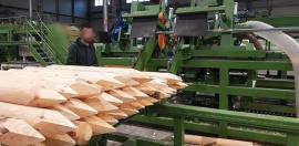Other equipment Kompletn výroní Linka kulů . | Sawmill machinery | Woodworking machinery | Drekos Made s.r.o