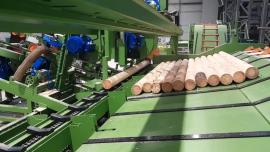Other equipment Kompletn výroní Linka kulů . | Sawmill machinery | Woodworking machinery | Drekos Made s.r.o