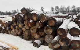 Pulpwood