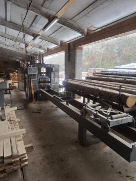 Gangsaw - Woodworking machinery
