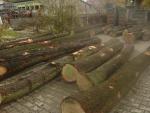 Saw logs