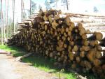 Pine Pulpwood |  Softwood | Logs | Закупка ООО