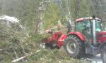 Other equipment Eschelbock Bieber 70, Case 255 |  Forest machinery | Woodworking machinery | ŠULEK FOREST, s. r. o.