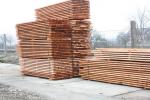 Spruce Construction / building timber |  Softwood | Timber | MP-HOLZ, s.r.o.