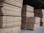 Beech Construction / building lumber |  Hardwood | Lumber | AMIRO Kft