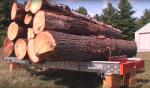 Bandsaw Kanada -HD36 |  Sawmill machinery | Woodworking machinery | Drekos Made s.r.o