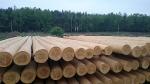 Other equipment Loupačka Kulatiny  |  Sawmill machinery | Woodworking machinery | Drekos Made s.r.o