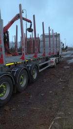 Log semi-trailer 02.03.2019 - 01.04.2019 |  Transport & freight | MT Transport a logistika