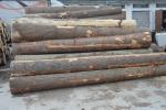 Spruce Veneer logs |  Softwood | Logs | Tilia-t,s.r.o