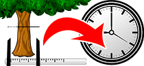 Calculator Tree age