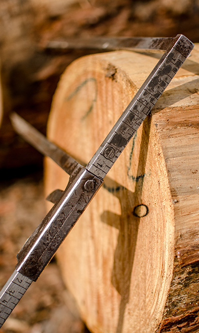 Log Scaling