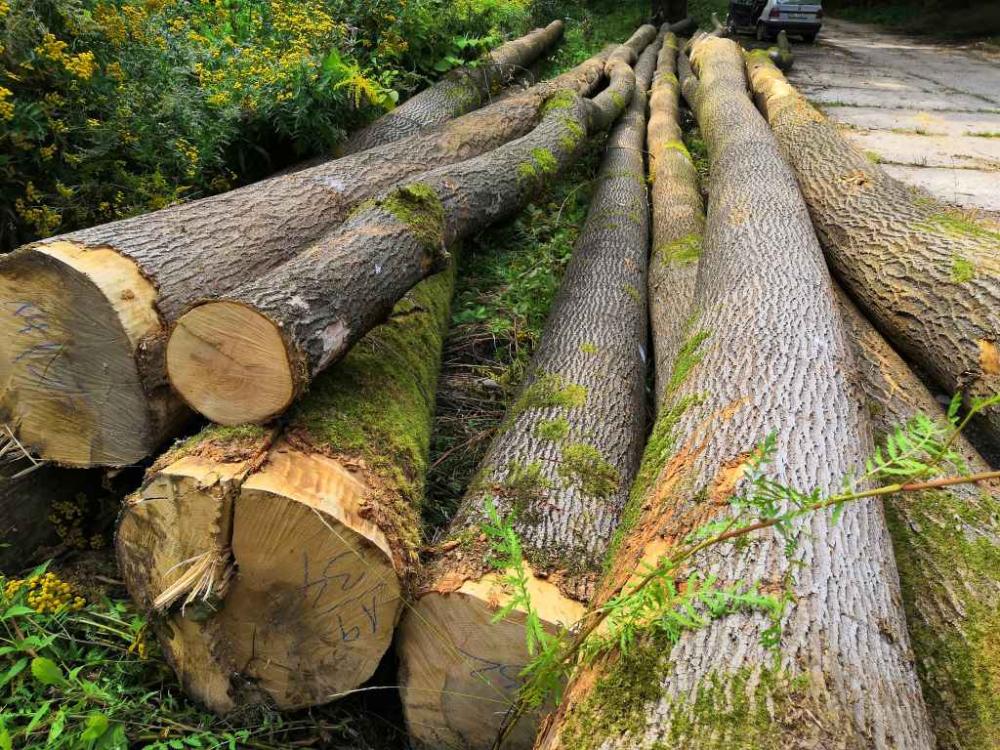 Obec Nitrianske Pravno, s.r.o. Nitrianske Pravno